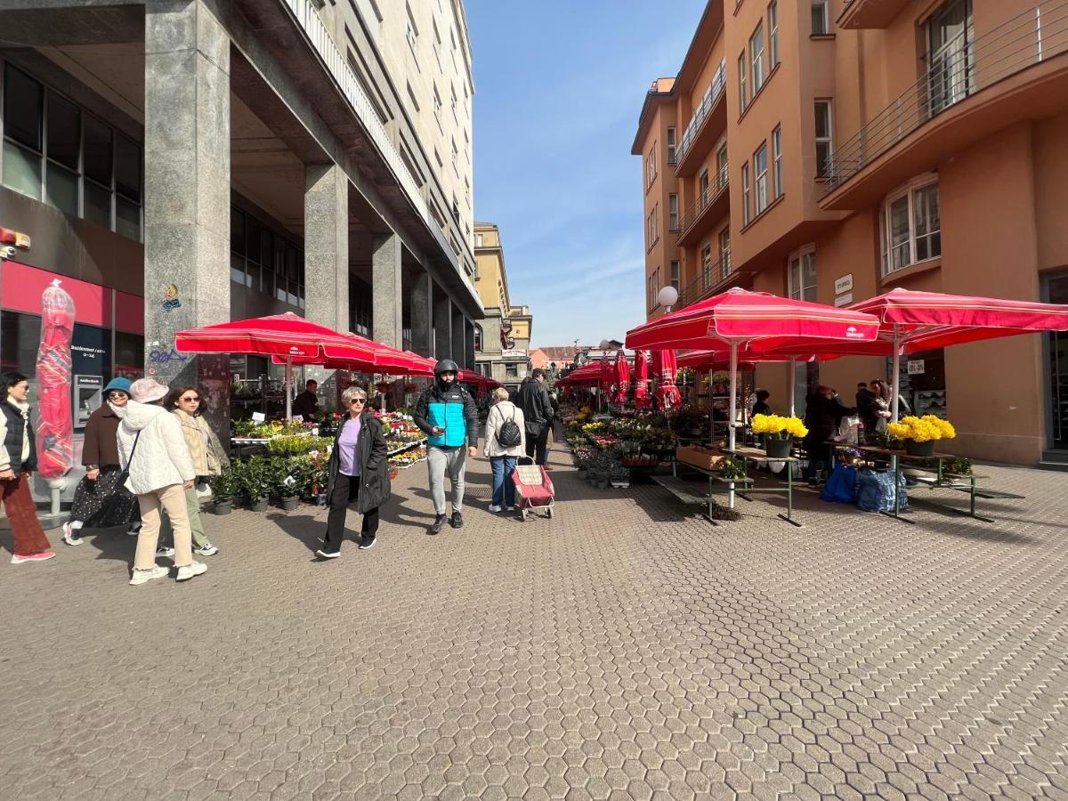 Studio Apartman Luka Zagreb Eksteriør bilde